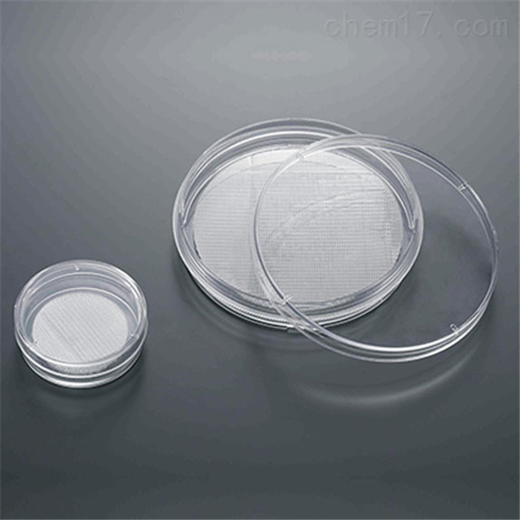 CellSCAFLD®3D細(xì)胞培養(yǎng)支架 CellSCAFLD®3D細(xì)胞培養(yǎng)支架