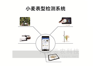 TPM-BX-1小麥表型檢測(cè)儀系統(tǒng)