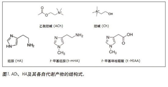 CORTECS UPLC HILICɫV_(ki)l(f)һN܉?q)XҺ(CSF)đAMxa(chn)ͬr(sh)M(jn)жUPLC/MS/MSy(c)