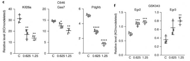 RNA-seqóMettl14(do)½MȫM(ni)l(f)׃ĶӰ푻_