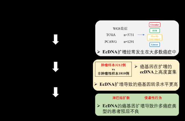 aiYMW(xu)͏V ĻȺw֮g(lin)ϵl(f)F(xin)aiYecDNAM(jn)\ ĝ