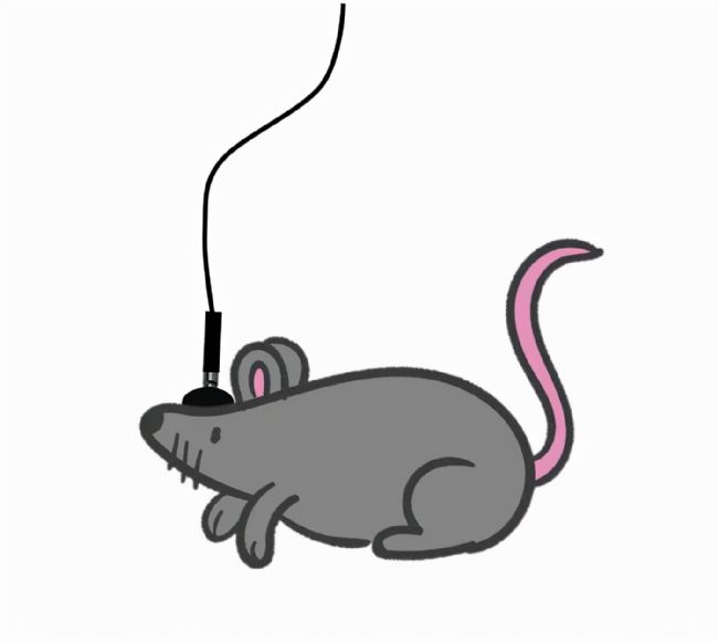 xwӛ䛌(sh)(yn)ĺĲ_(d)Чʵ̖ݔ