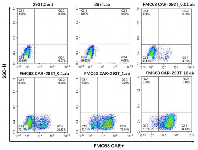 CAR-Tоƽ_(ti)
