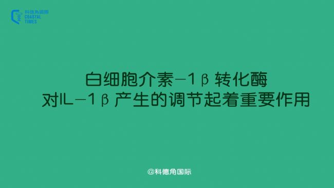׼(x)-1D(zhun)øIL-1®a(chn){(dio)(ji)Ҫ