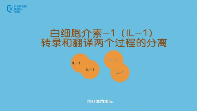 ׼-1IL-1D(zhun)䛺ͷgɂ^̵ķx