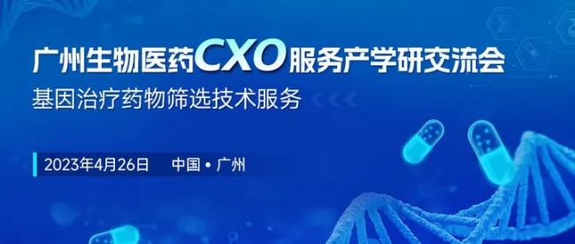 Vt(y)ˎCXO(w)
