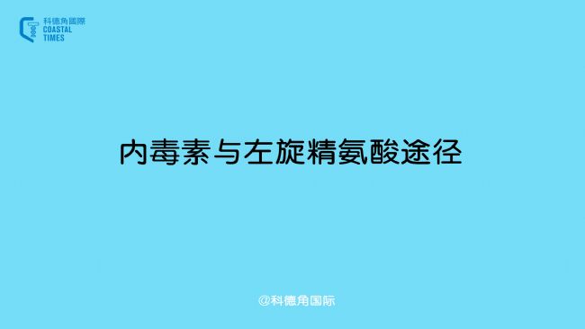 內(nèi)毒素與左旋精氨酸途徑