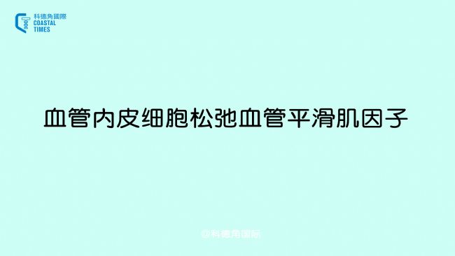 血管內(nèi)皮細胞松弛血管平滑肌因子