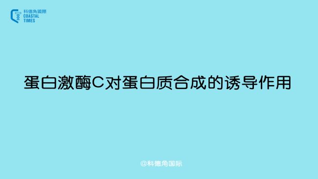׼øC(du)|(zh)ϳɵT(do)
