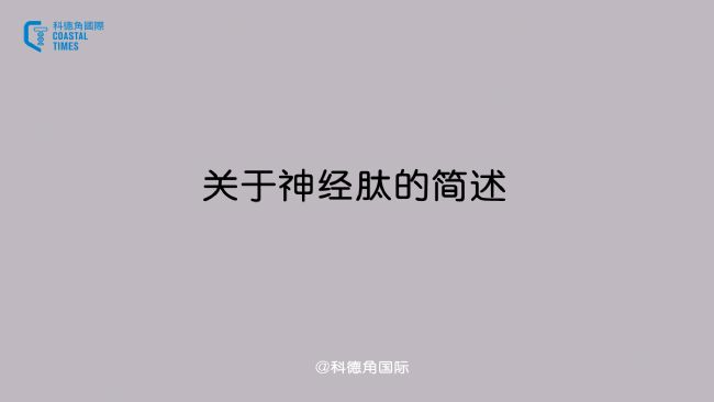 關(guān)于神經(jīng)肽的簡述
