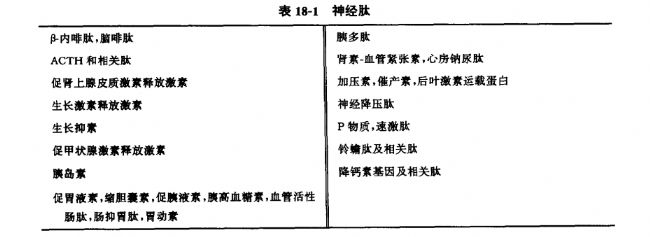 關(guān)于神經(jīng)肽的簡述