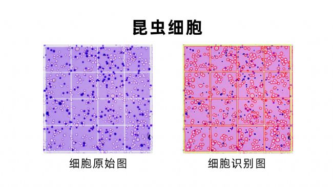 3x(chng)(x)D.jpg