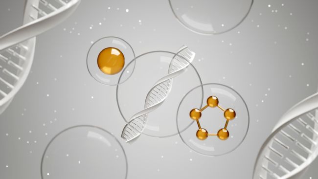 Lipid Acһ֬ڽYʲôe