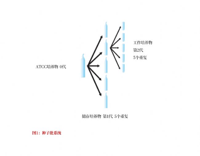ĸ2_01(1).png