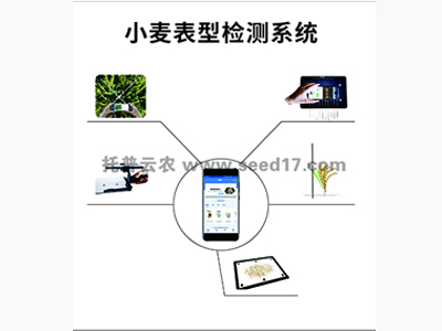 小麥表型檢測(cè)系統(tǒng)