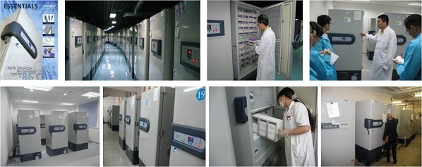 海爾-86℃超低溫保存箱、ECO-BioBank解決方案支持樣本庫(kù)建設(shè)