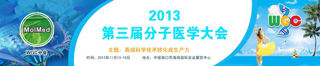 2013÷t(y)W(xu)(hu)