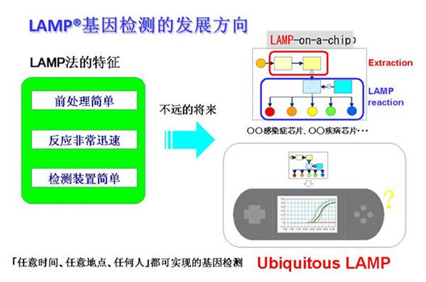 次世代LAMP® 蓄勢(shì)待發(fā)