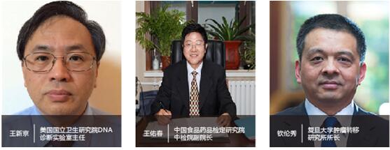 P4 China 2016H(zhn)t(y)(hu)ذ(j)vel(f)