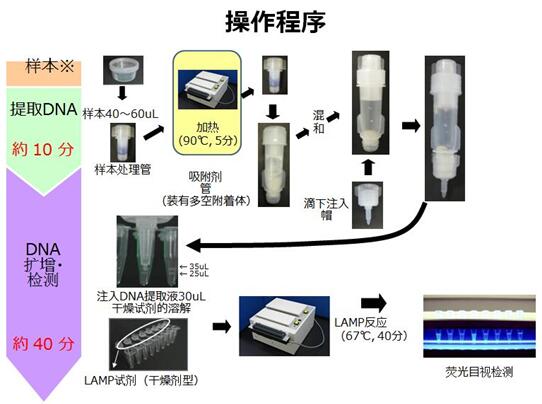 l(wi)MWHOٷʽ]h(hun)錧ȜؔUTB-LAMPY˲\aƷ